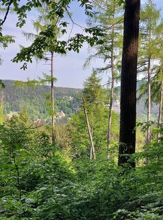 Photo de Jörg Rost le long du parcours