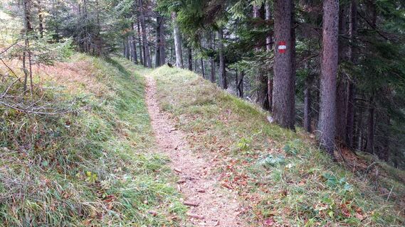 Schmaler Weg