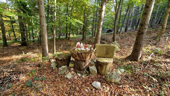 Zdjęcie z EP87 wzdłuż trasy