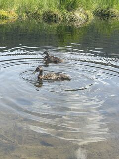 Foto von Marco Kraft entlang der Tour
