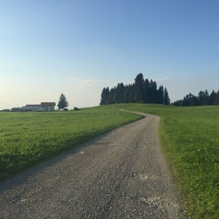 Forstweg zum Tobelrandweg