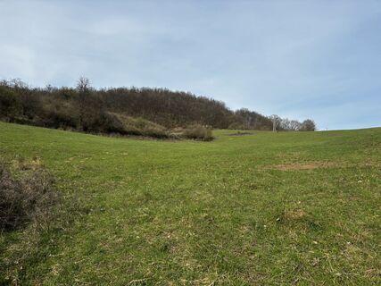 Foto de Reti Alicia a lo largo del recorrido