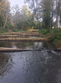 Foto von Wiffwagener entlang der Tour