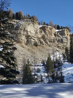 Fotografija s spletne strani Daniele Bertorelle na poti