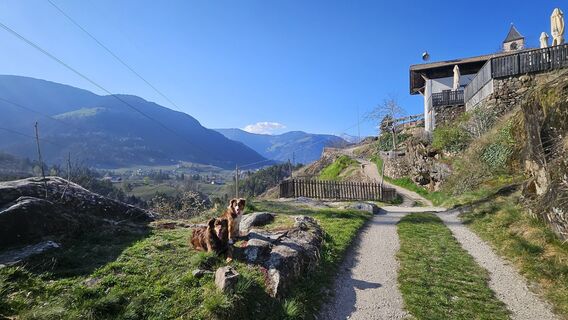 Fotografija s spletne strani Désirée Polz na poti