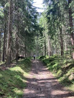 Fotografie de la Moonytiger de-a lungul turului