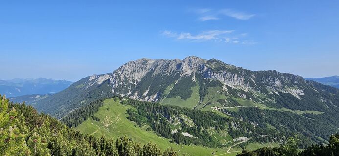 Foto da garrincha lungo il tour