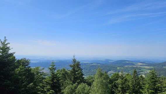 Foto von Johanna Kainz entlang der Tour