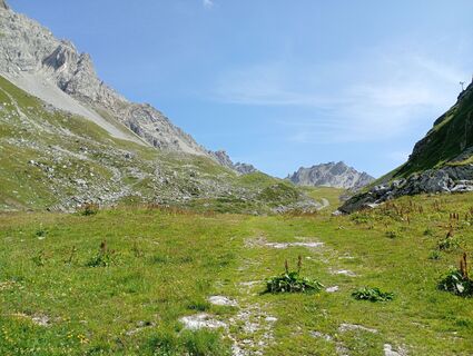 Fotografija s spletne strani MJ na poti