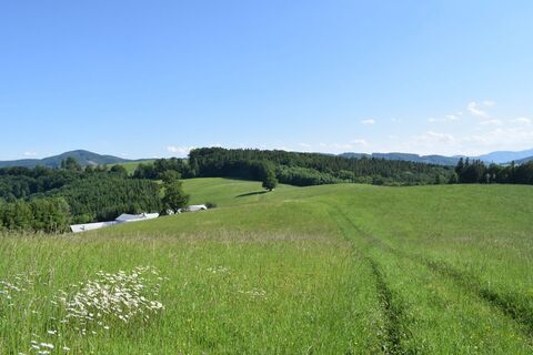 Michelbacher Elsbeerweg