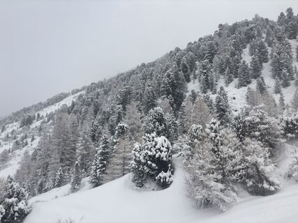 Foto från Peter Ninausz under resans gång