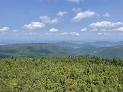 Fotografia z Ralf Umminger na trase