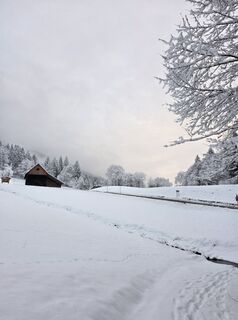 Fotografia z Florian Dürnegger na trase