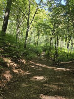 Foto de János Zsolt Mahr a lo largo del recorrido