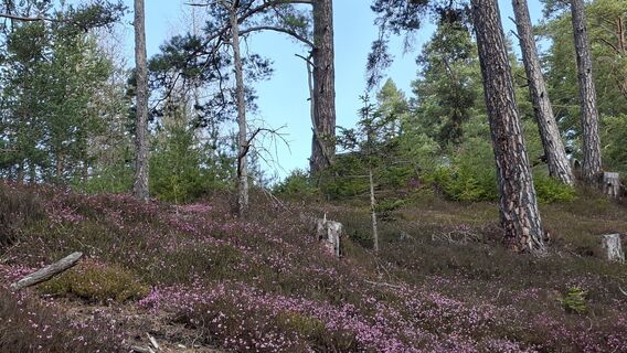Foto von Horst Ditjo entlang der Tour