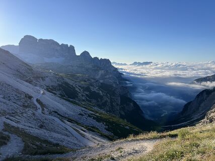 Photo de Heikoala le long du parcours