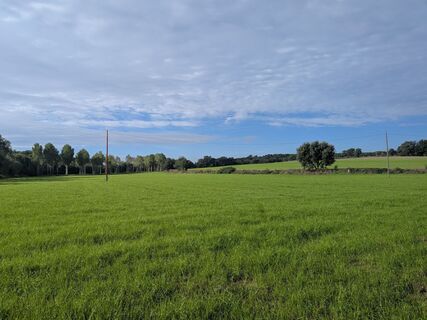 Photo de Karlsson vom Dach le long du parcours