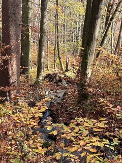 Foto von Karsten Beer entlang der Tour