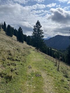 Fotografia z deif35 na trase