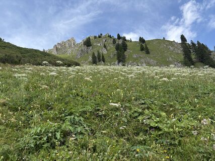 Foto von Jürgen Kemmerer entlang der Tour
