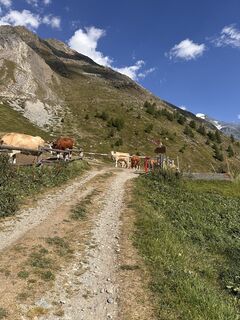Foto von Hagen Cygan entlang der Tour