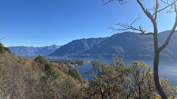 Foto de Theresarnold a lo largo del recorrido