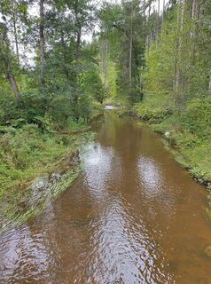 Foto da Nicole Wöhrle lungo il tour