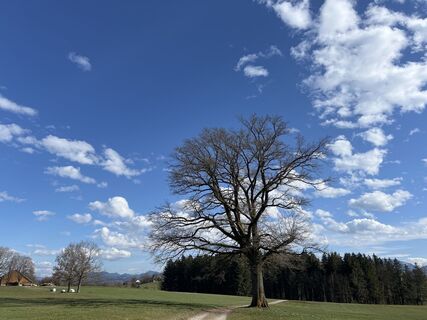 Foto von Anita Maigler entlang der Tour