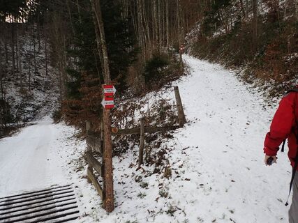 Aufstieg nahe Abzweig "Am Berg"