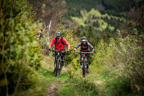Mountainbiker auf Grastrail in Willingen