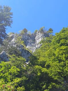 Photo de Marion Sperlich le long du parcours