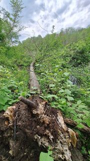 Fotografie z Aga M na trase