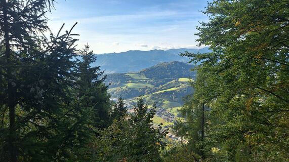 Fotografia z Regina Fleischmann na trase