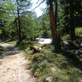 Val Bever