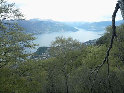 Fotografija s spletne strani Fabio Salvini na poti