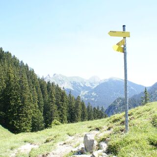 Schagstein-Runde