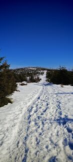 Fotografija s spletne strani ReginaSt na poti