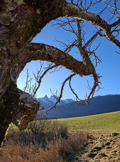 Foto von bowhunter entlang der Tour