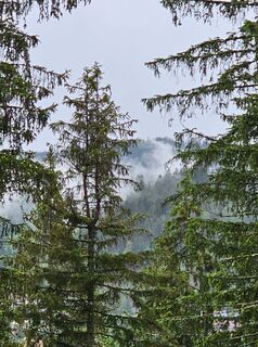 Fotó a Angelika Gerung honlapról a túra során