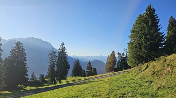 Fotografija s spletne strani Marlyse Leu na poti