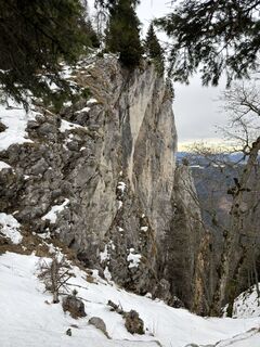 Fotografie z Elvis na trase