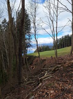 Foto von Dagmar Hofer entlang der Tour