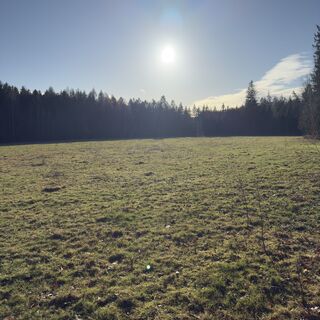 Foto von Steffen Kiesel entlang der Tour