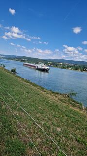 Fotografie de la Elisabeth Rossa de-a lungul turului