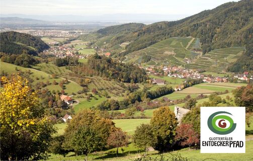 Die Glottertäler Weinberge