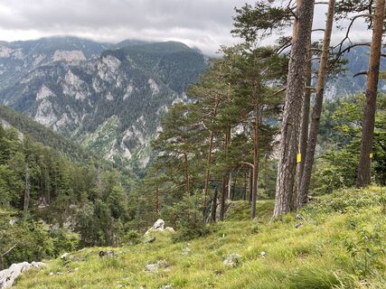 Fotografija s spletne strani Klaus Botschen na poti