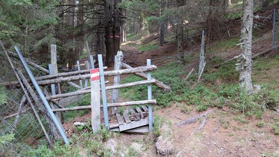 Photo de Wolfgang Arlic 1 le long du parcours