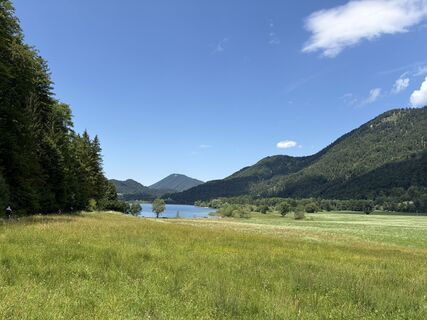 Zdjęcie z Wolfgang Wallner 9 wzdłuż trasy