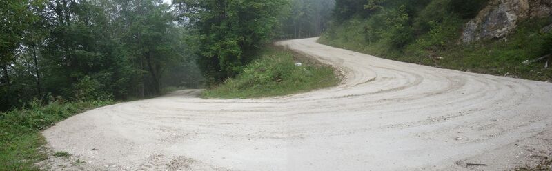 Aufstieg Forststraße zum Nachbargauboden