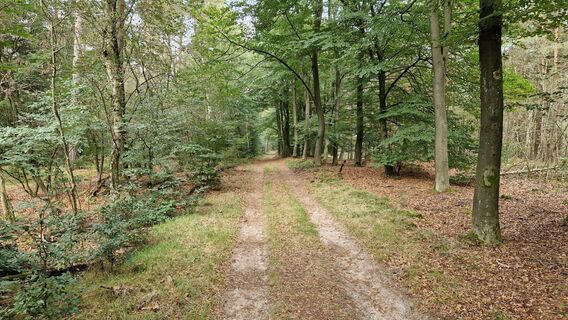 Photo de Gerrit van der Linde le long du parcours